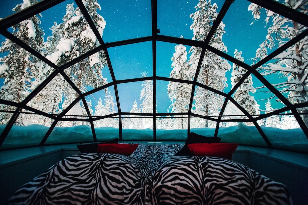 Small Glass Igloo (East Village) photo 1