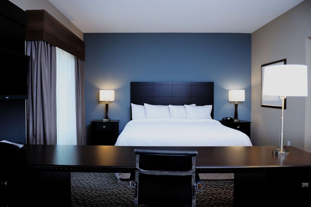 Room, 1 King Bed, Accessible photo 2