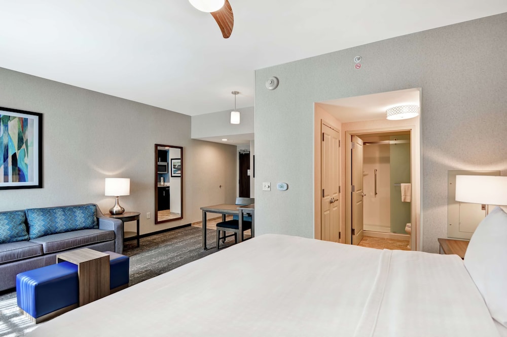 Studio, 1 King Bed, Accessible (Mobility & Hearing, Roll-in Shower) photo 2