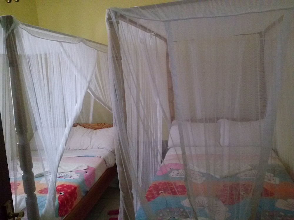Basic Double or Twin Room photo 1