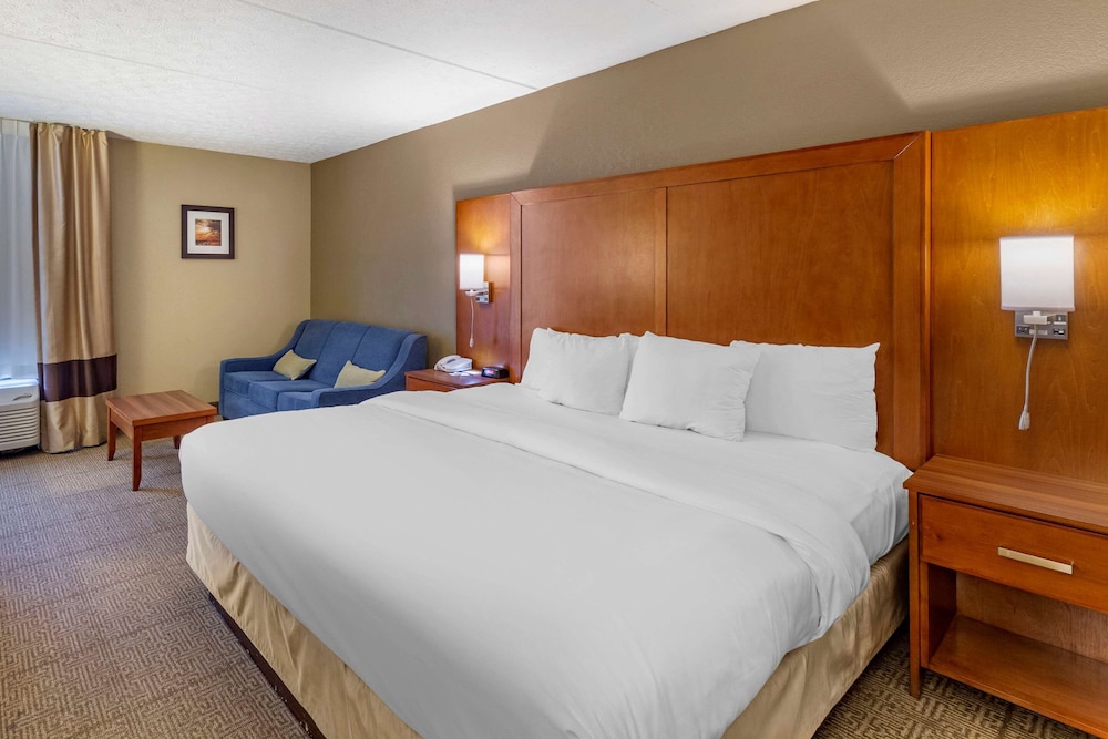 Standard Room, 1 King Bed with Sofa bed, Non Smoking - Photo 1
