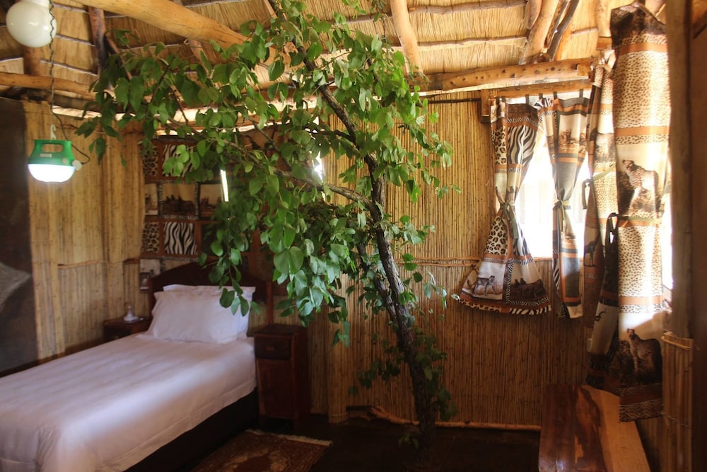 Twin Room photo 3