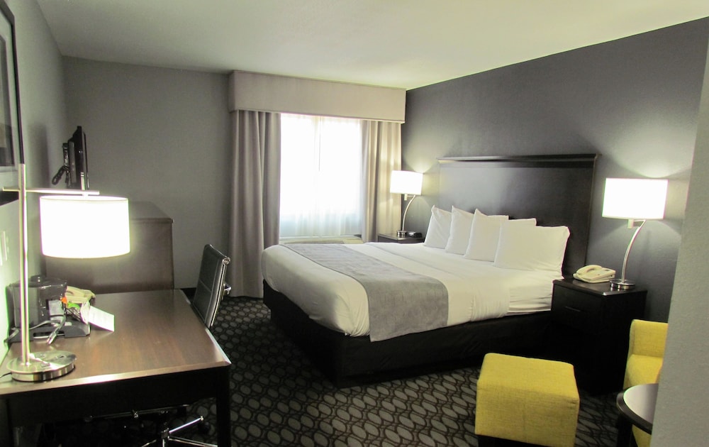 Standard Room, 1 King Bed, Accessible, Non Smoking photo 1