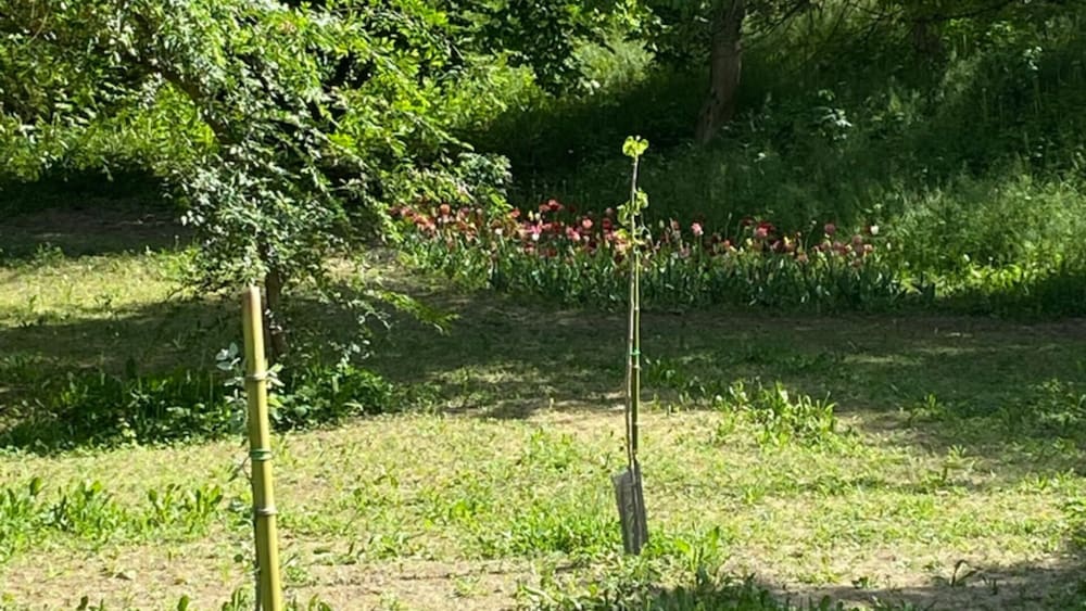 Appartamento Roero Cottage 3, Billede 8