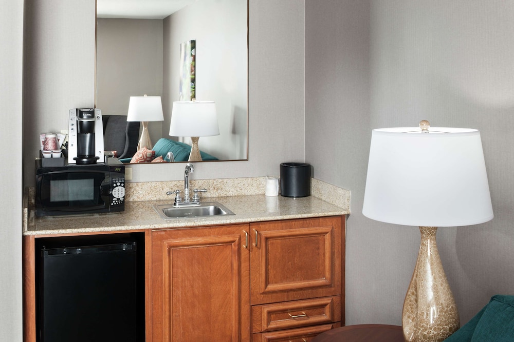 Suite, 1 Bedroom, Accessible (1 King Bed, Roll-in shower) - Photo 4