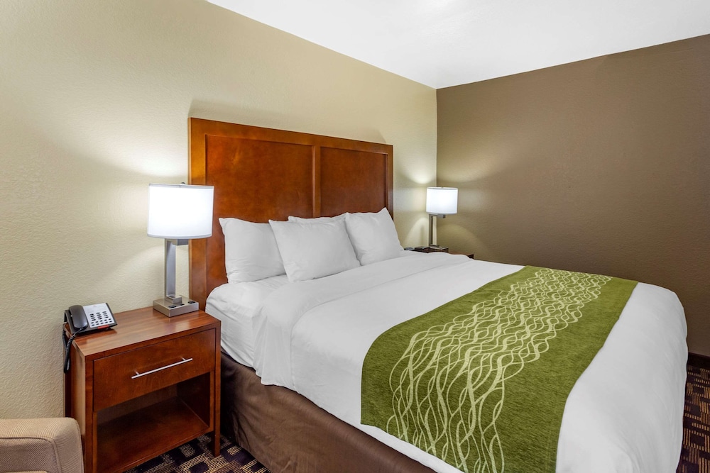 Standard Room, 1 King Bed, Accessible, Non Smoking - Photo 4