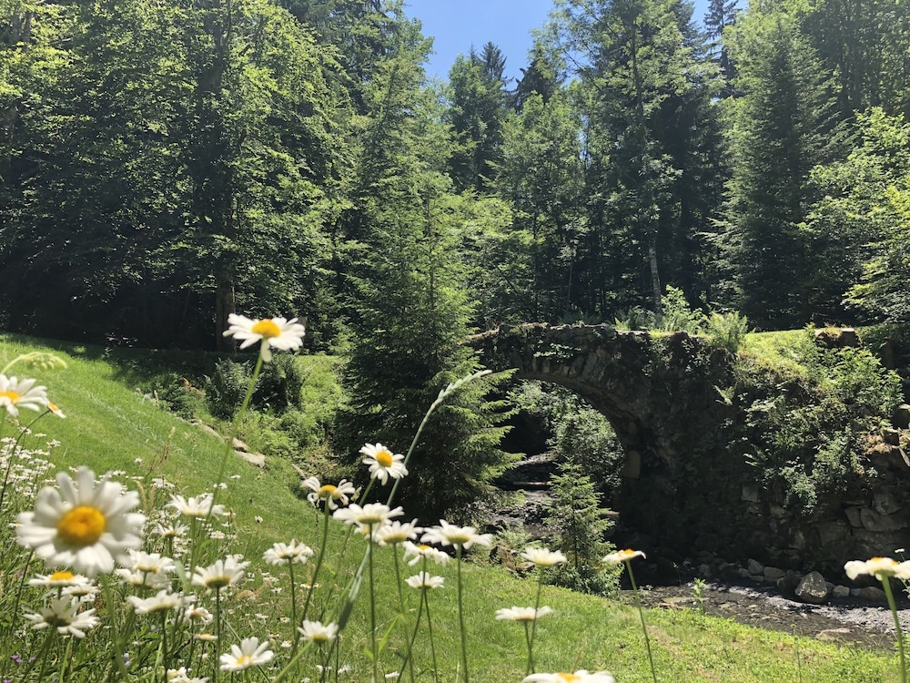 Le Moulin des Olirics, Foto 23
