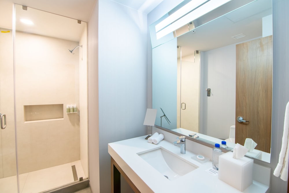 Suite, 1 Bedroom - Photo 5