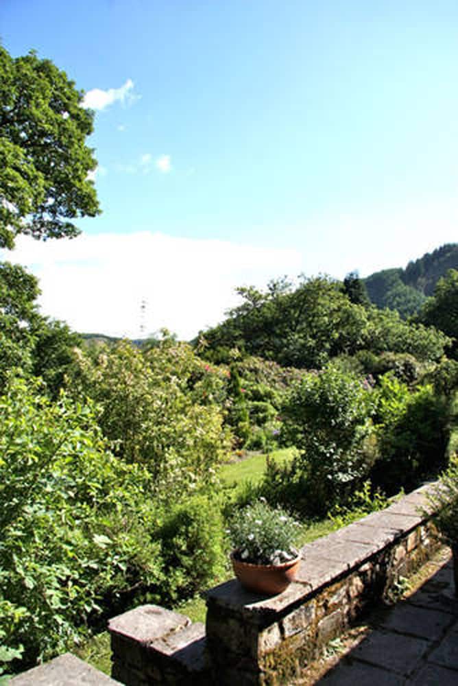 Buzzard Cottage photo 3