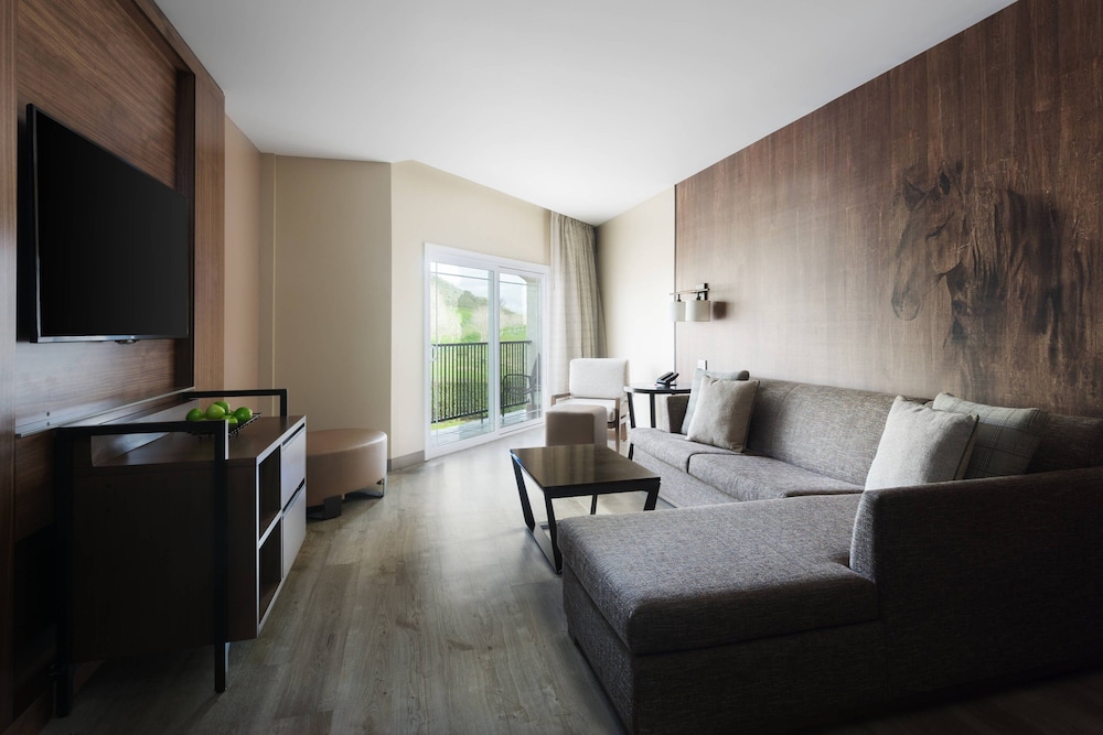 Suite, 1 Bedroom photo 3