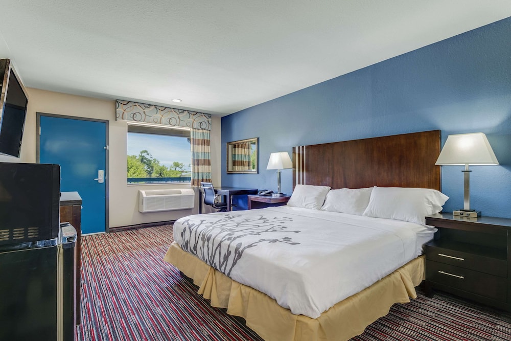 Room, 1 King Bed, Accessible, Non Smoking - Photo 1