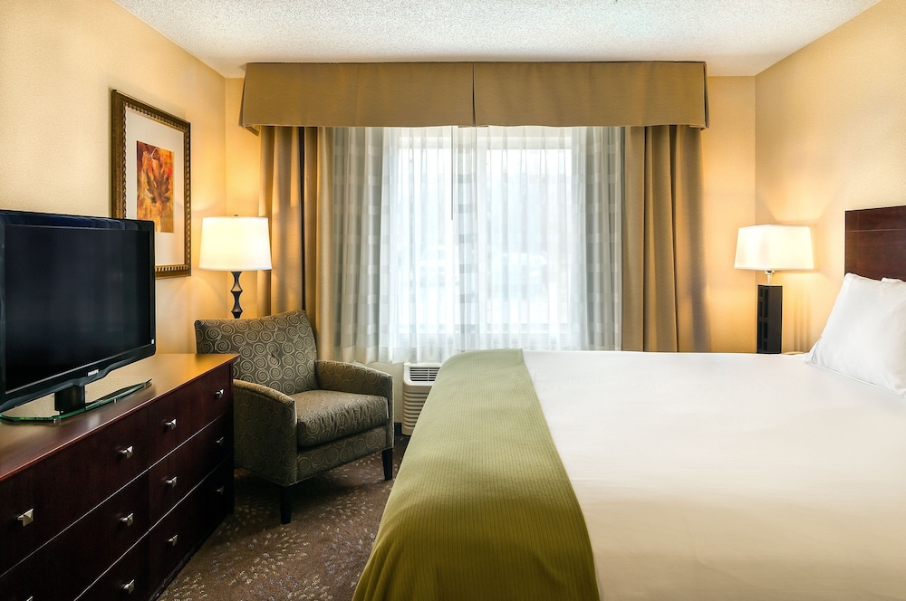 Standard Room, 1 King Bed, Accessible, Non Smoking (Communications, Access Tub) - Photo 1