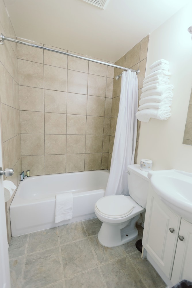 Suite, 1 Bedroom, Kitchen photo 3