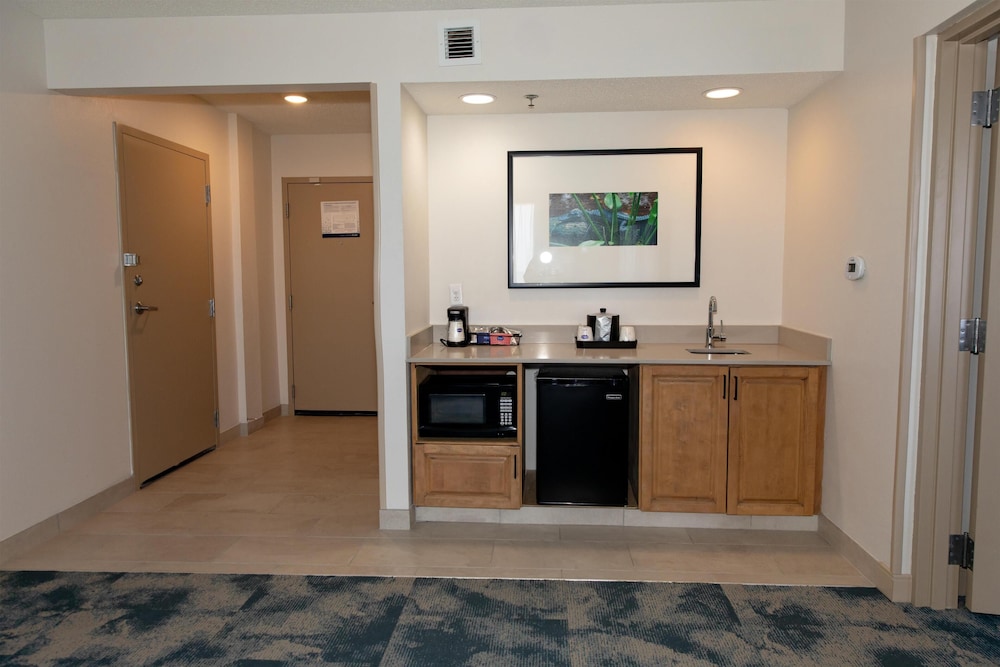 Suite, One King Bed, Non-Smoking photo 2
