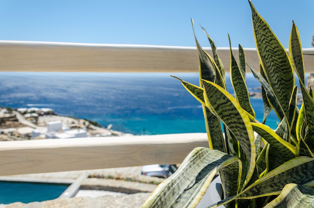 Villa, Private Pool, Sea View (Eden) photo 2