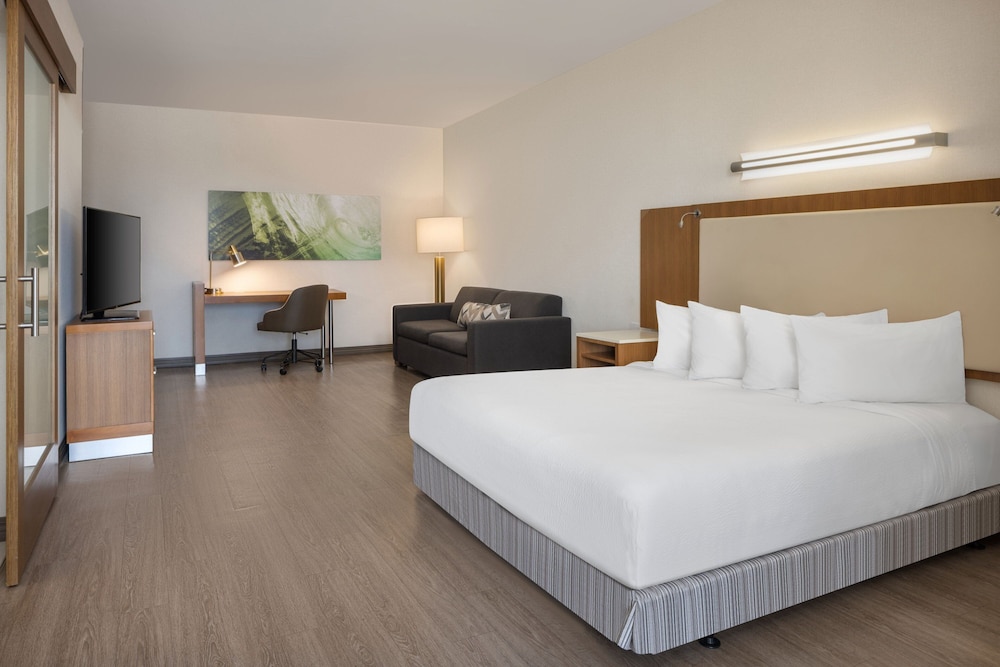 Studio, 1 King Bed with Sofa bed (Mobility Accessible, Roll-In Shower) photo 2