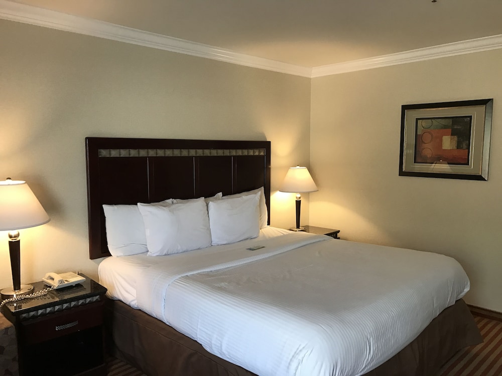 Deluxe Room, 1 King Bed, Non Smoking - Photo 1