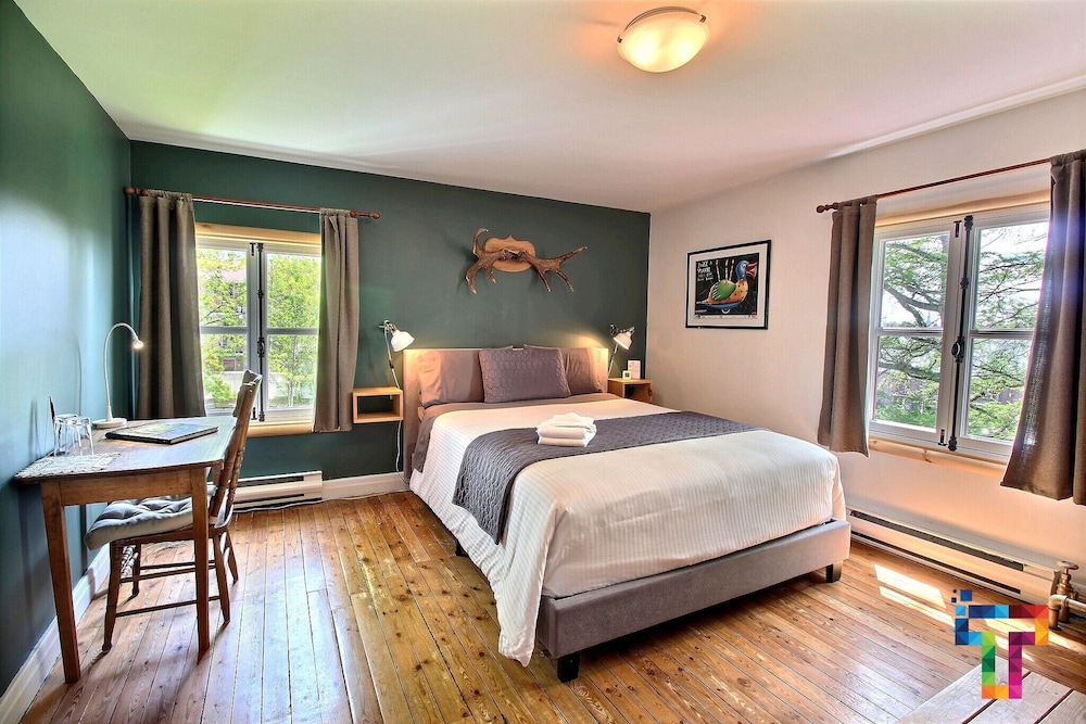 Room, 1 Queen Bed photo 3