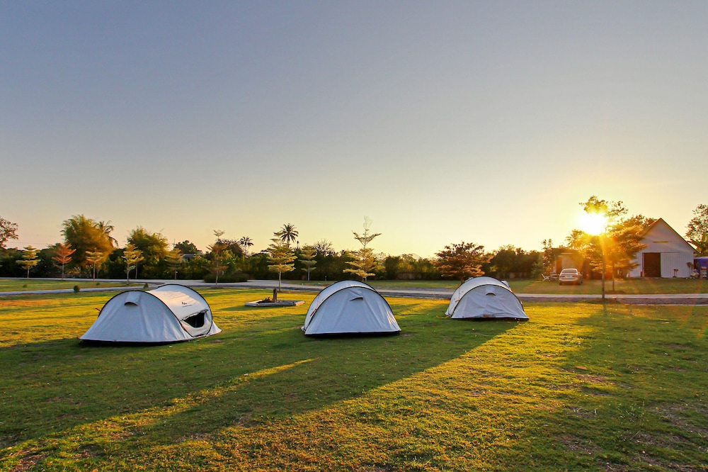 Tent, Courtyard View photo 3