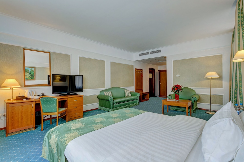 Business Room, 1 Double Bed photo 3