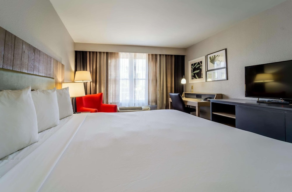 Room, 1 King Bed, Non Smoking - Photo 1