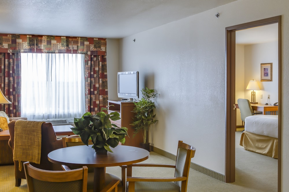 Suite, 1 Bedroom - Photo 5