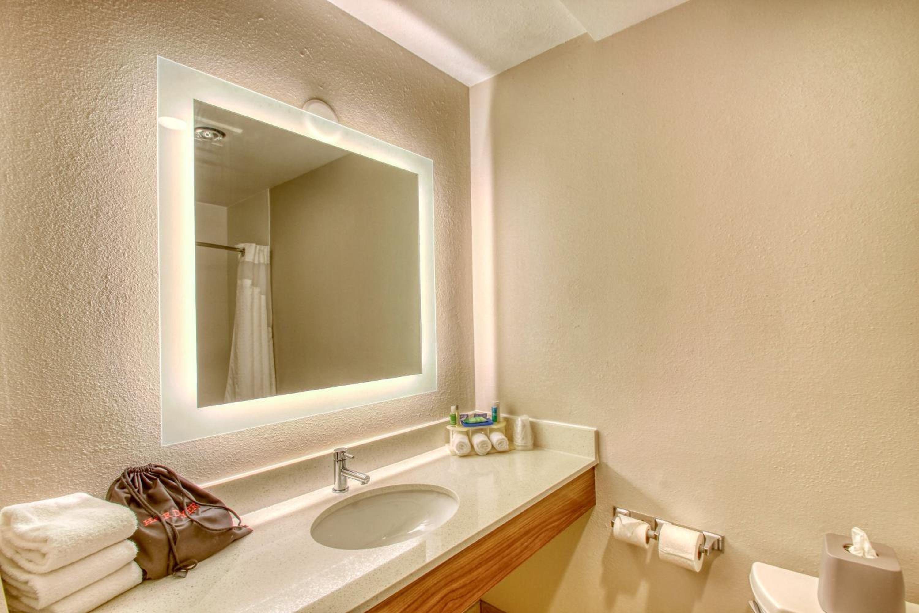 Suite - Mobility Access/Hearing Accessible - Photo 1