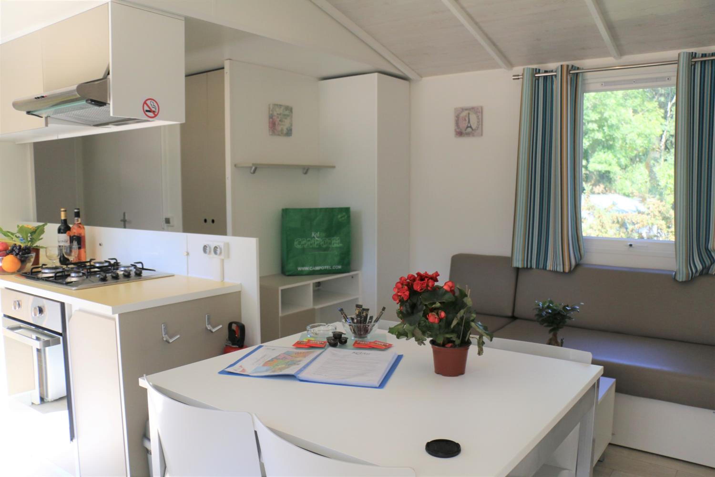 Mobile Home photo 2