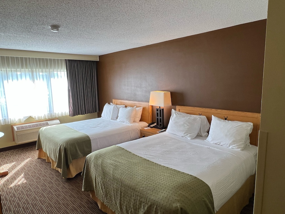 Basic Room, 2 Queen Beds photo 1