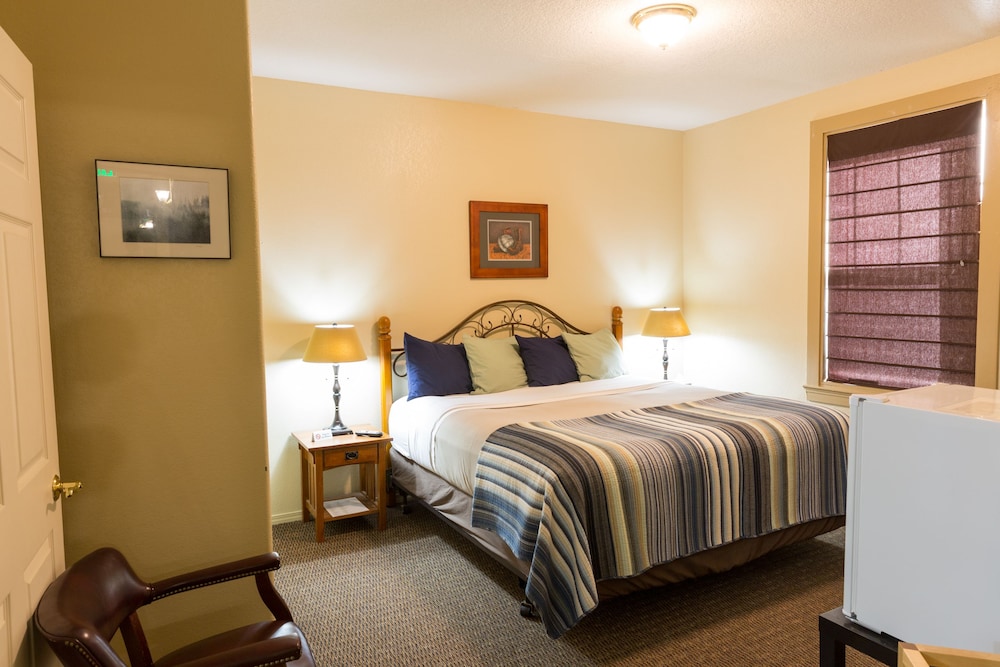 Basic Room, 1 King Bed, Accessible, Refrigerator photo 1