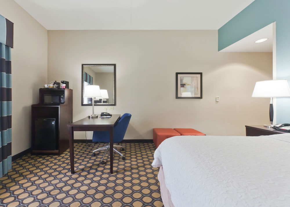 Room, 1 King Bed, Non Smoking photo 2
