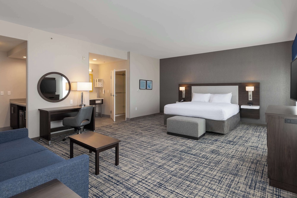 Room, 1 King Bed, Accessible, Non Smoking (Whirlpool) - Photo 2