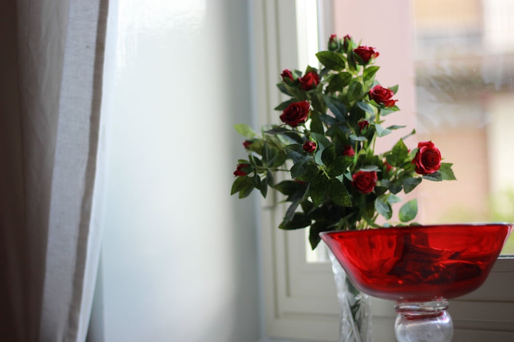 Romantic Room, Garden View (Rossa) photo 3