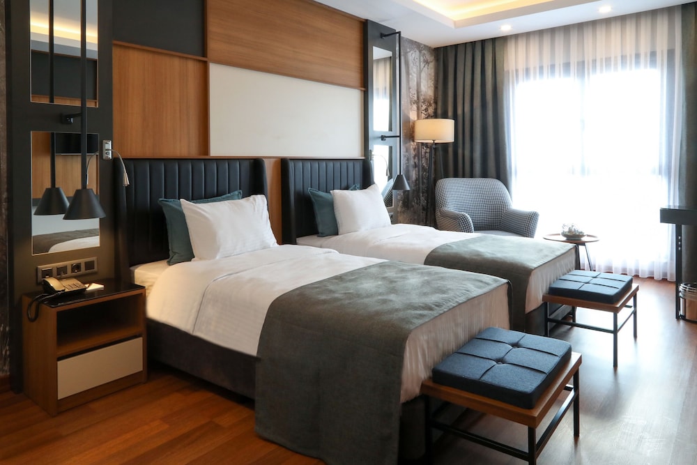Panoramic Double or Twin Room photo 1
