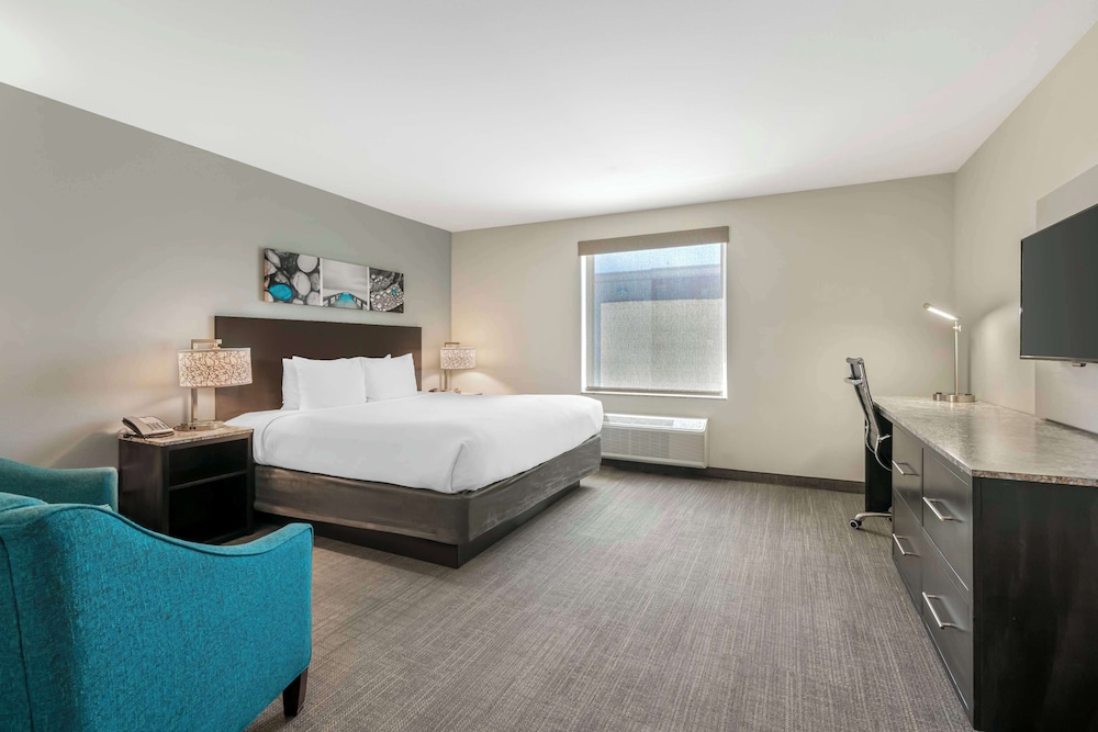 Standard Room, 1 King Bed, Non Smoking, Refrigerator & Microwave