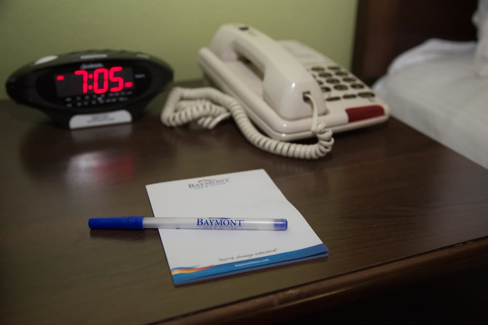 Business Room, 1 King Bed, Non Smoking, Microwave - Photo 6