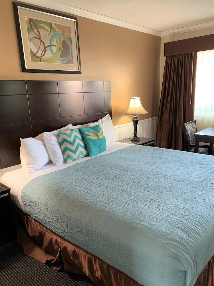 Traditional Room, 1 King Bed photo 2
