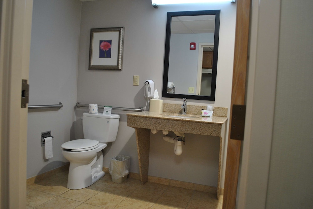 Standard Room, 2 Double Beds, Accessible, Refrigerator & Microwave - Photo 6
