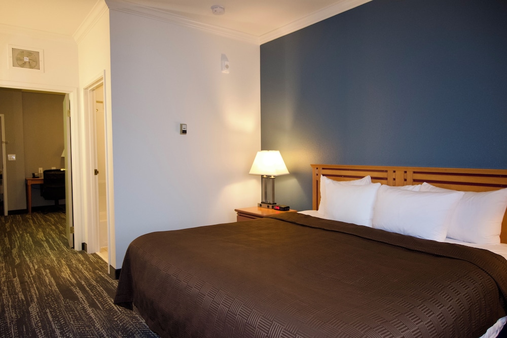 Comfort Suite, 1 King Bed with Sofa bed, Non Smoking photo 3