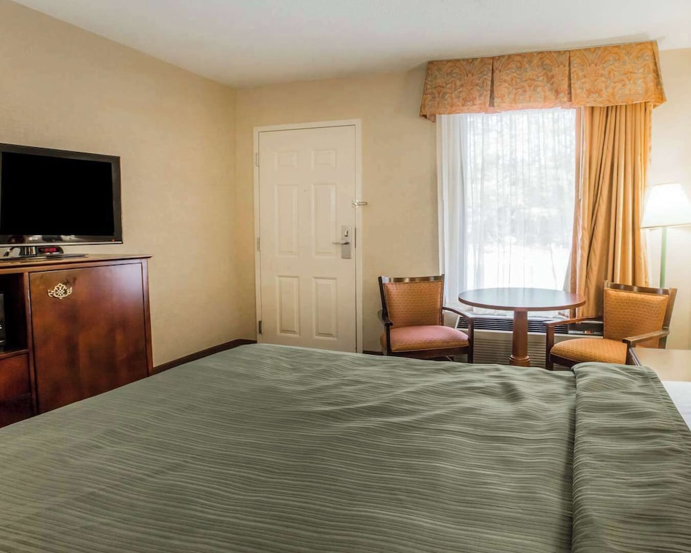 Standard Room, 1 King Bed, Smoking - Photo 2
