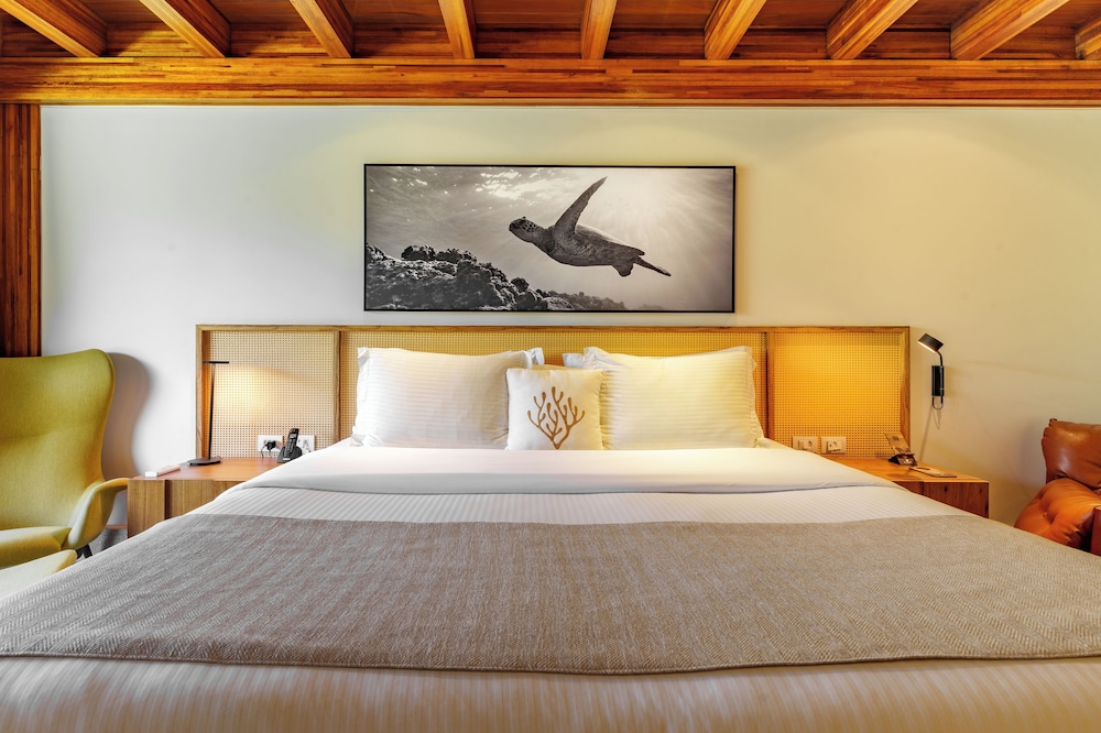 Deluxe Room, Patio, Garden View - Photo 1