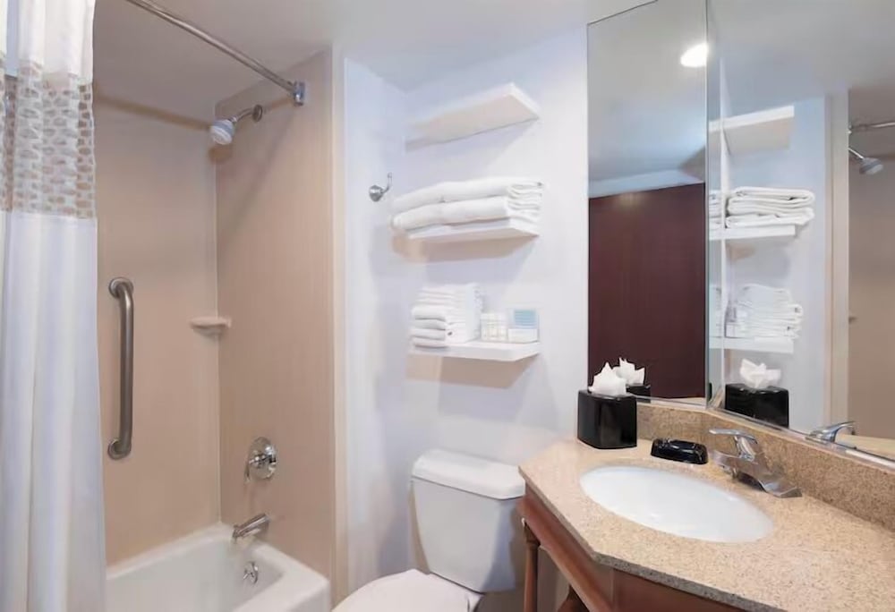 Standard Studio Suite, 1 King Bed with Sofa bed Accessible Roll-In Shower photo 2