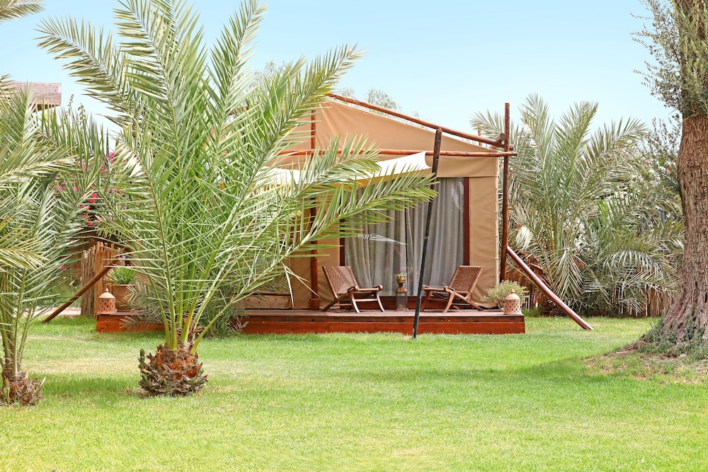 Lodge - Photo 5