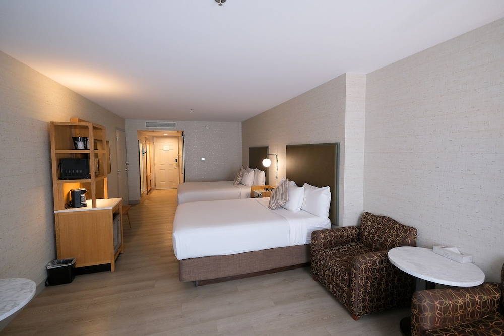 Basic Room, 2 Queen Beds photo 2