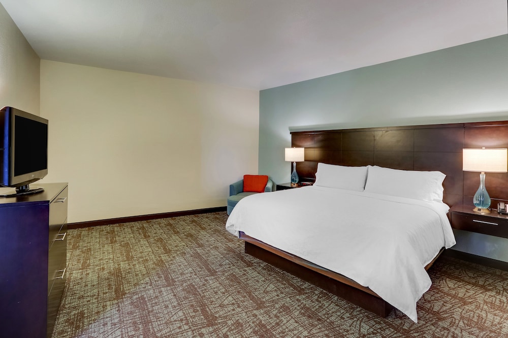 Suite, 1 King Bed - Photo 1