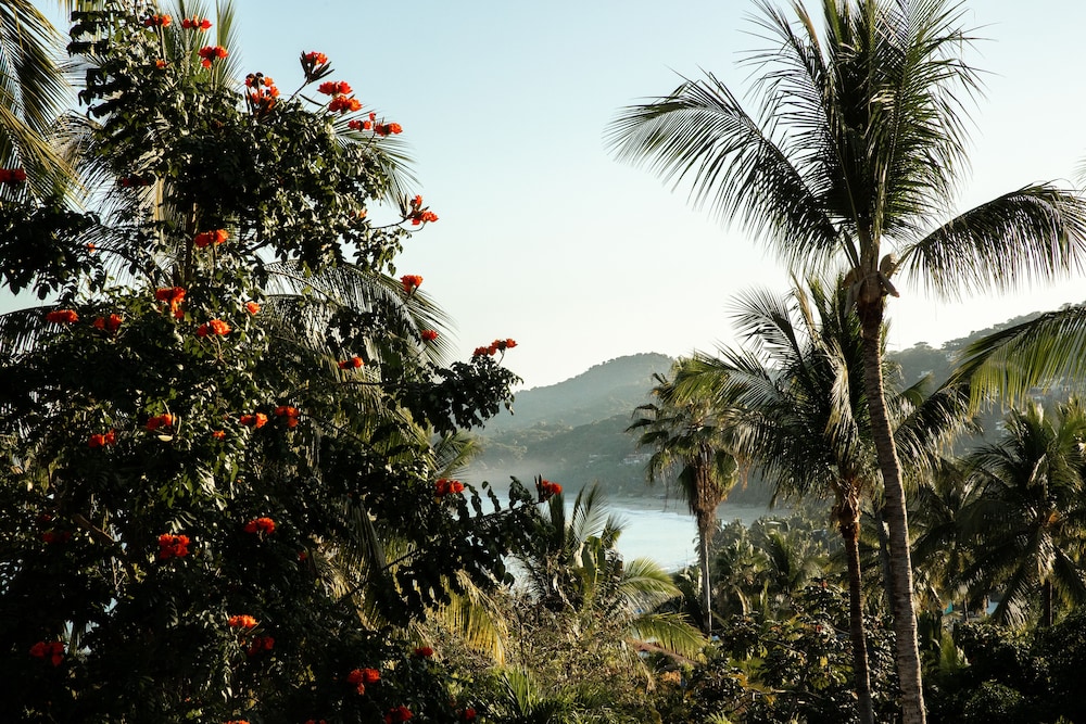 Standard Studio, Terrace, Partial Ocean View (#5 y #6) photo 3