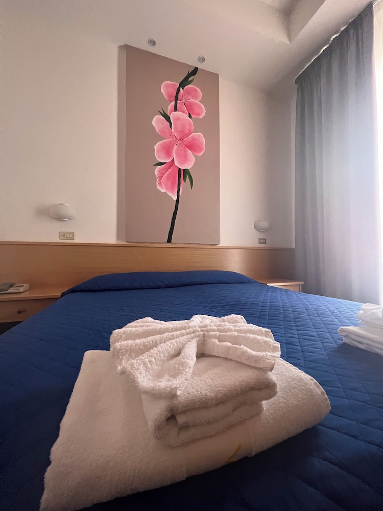 Deluxe Double or Twin Room photo 2