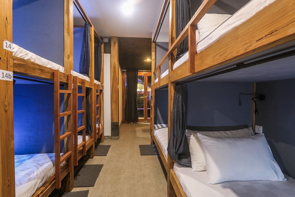 Shared Dormitory, Mixed Dorm photo 1