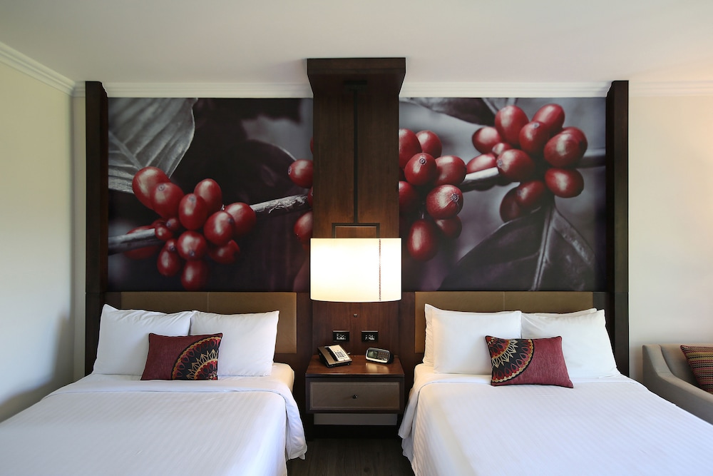 Executive Room, 2 Double Beds photo 2