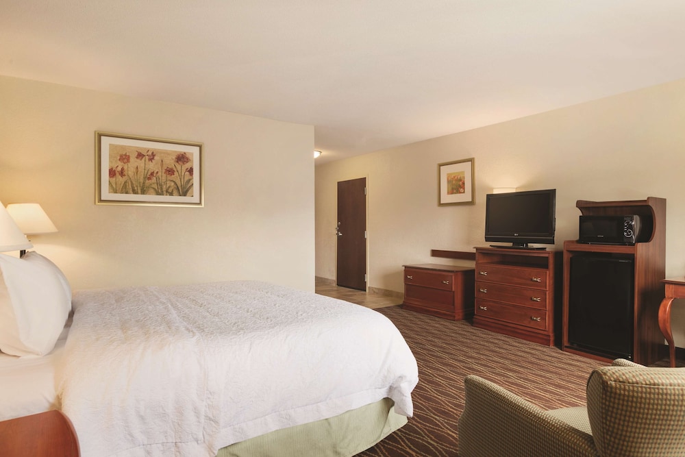 Studio, 1 King Bed, Accessible, Non Smoking - Photo 1